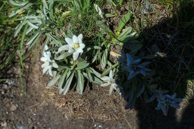 IMG_2173.jpg