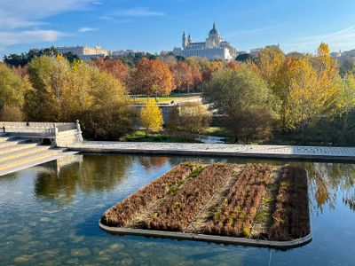 Otoño en Madrid