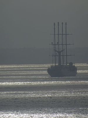 DSC03390.JPG