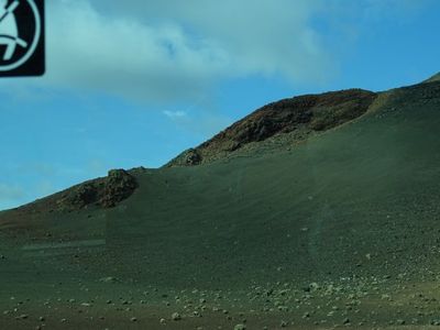 DSC03519.JPG