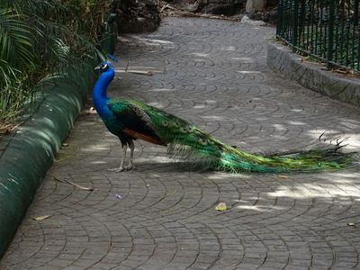 DSC03686.JPG
