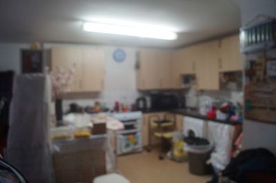 DSC02535.JPG