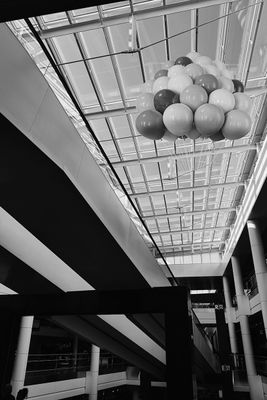 g13/82/62182/3/173973050.dba7e1f1.JPEG