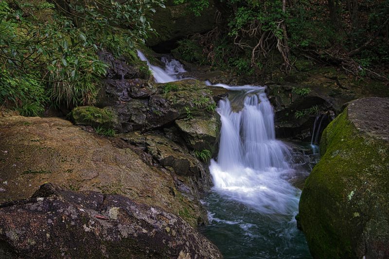 Whispers of the Falls