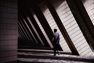 Echoes of Light and Shadow