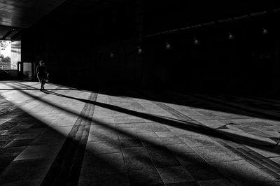 Serendipity in Shadows