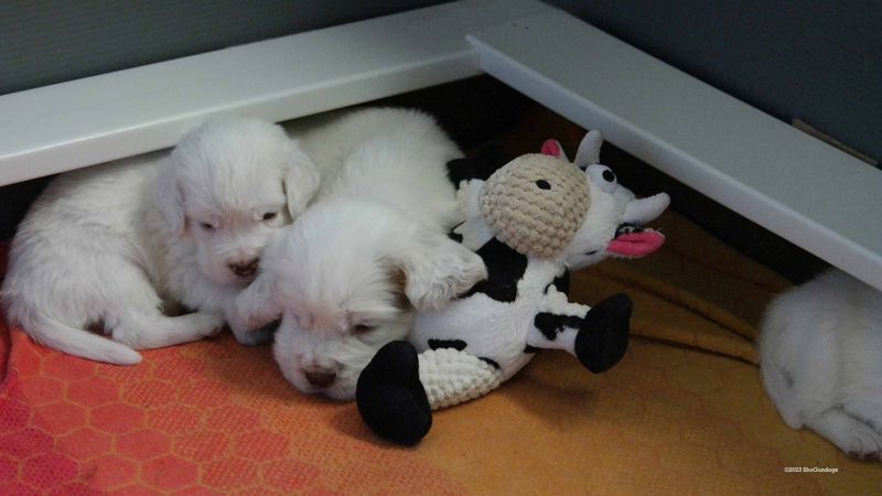 p[ollys Litter  230718 001.jpg