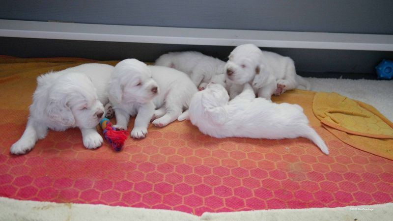 p[ollys Litter  230718 018.jpg