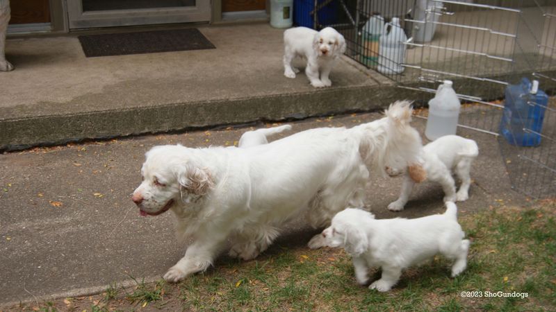Pollys Litter  230826 005.jpg