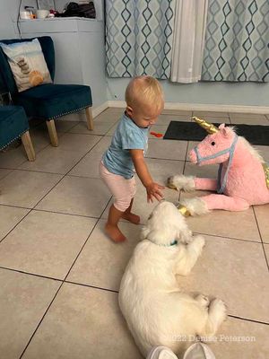 Bailey's Gallery Page(s) 2 Updated 11/8/2022