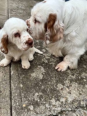 Bruno and Victor  221113 016.jpg