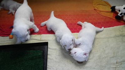 p[olly's Litter  230718 014.jpg