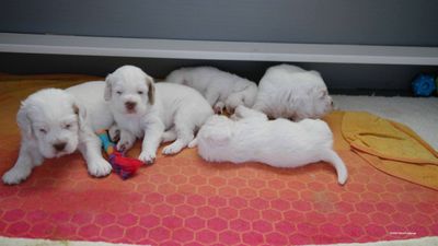 p[olly's Litter  230718 017.jpg