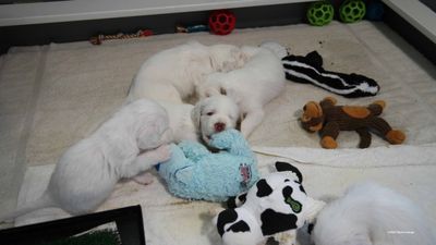 p[olly's Litter  230718 023.jpg