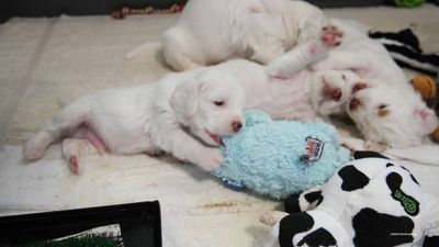 p[olly's Litter  230718 029.jpg