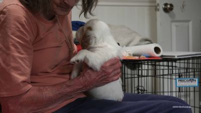 Polly's Litter  230721 026.jpg