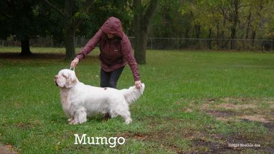 Fun-Day--231013-073.jpg