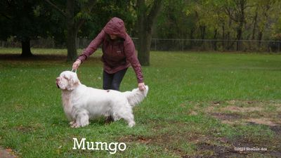Fun-Day--231013-076.jpg