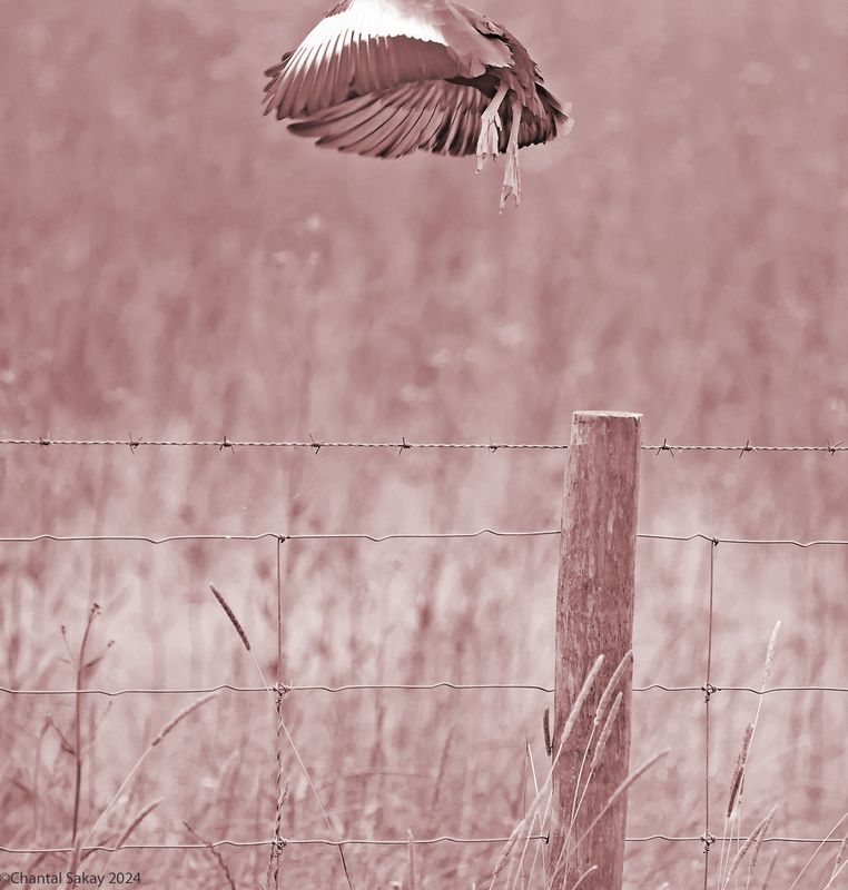 Take-Off