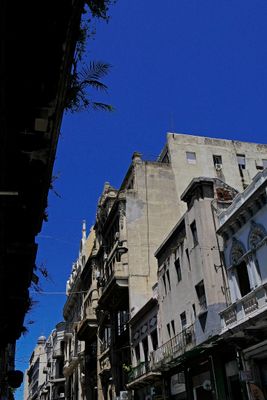 _7090010.JPG