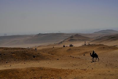 Pyramids & Sphinx 11.JPG