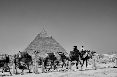 Pyramids & Sphinx 18.JPG