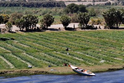 Nile River 4.JPG