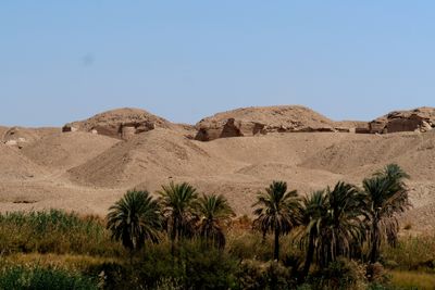 Nile River 11.JPG
