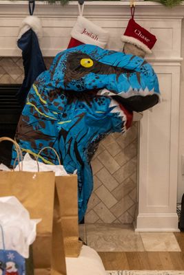 20231228-845A6953.jpg