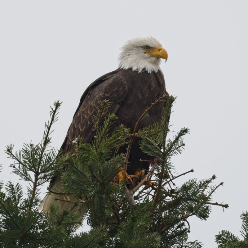 GM5_5572.jpg