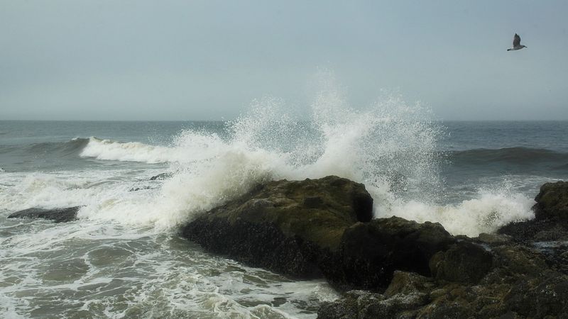 DSC_5501.jpg