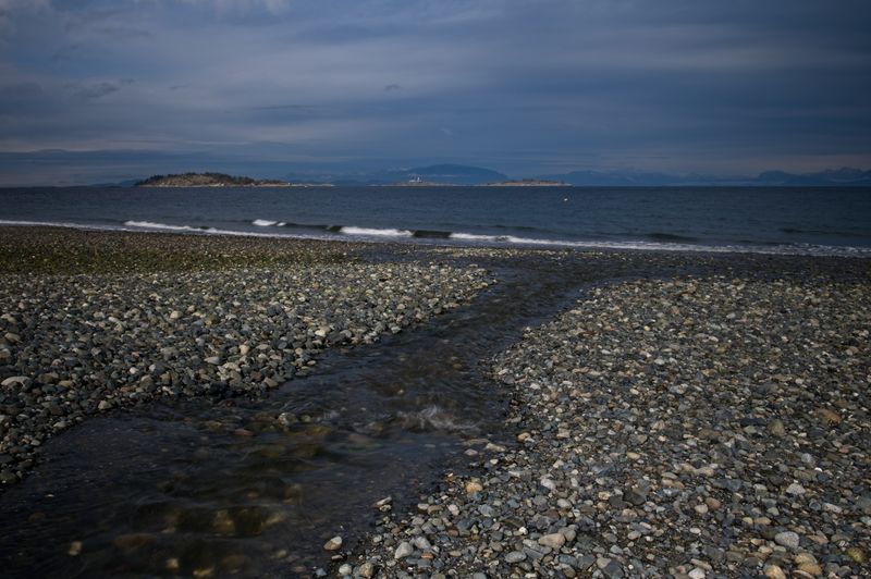 GM7_2451.jpg