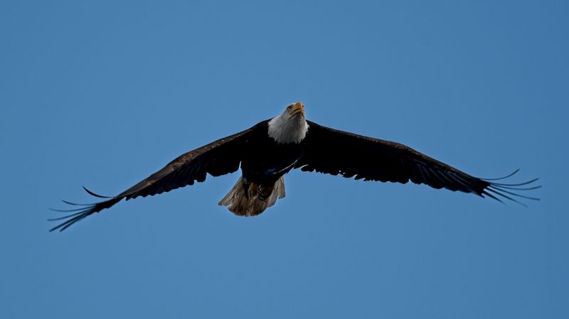 GM5_7079.jpg
