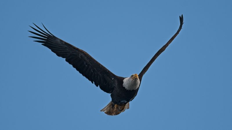 GM5_7078.jpg