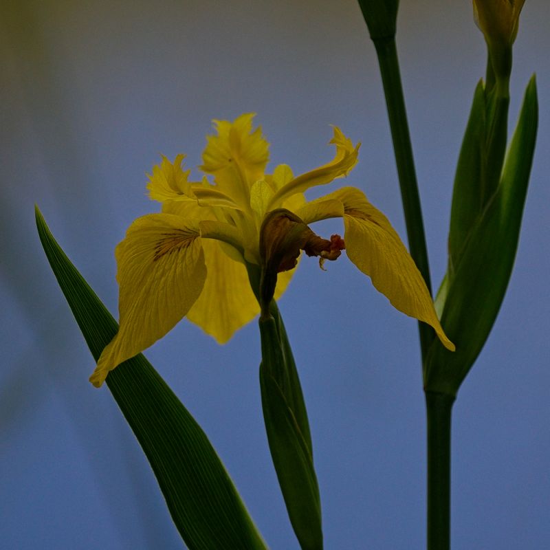GM5_8033.jpg