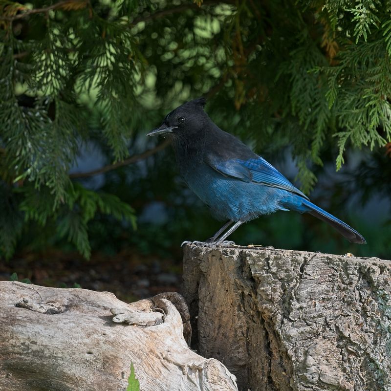 GM7_3453.jpg