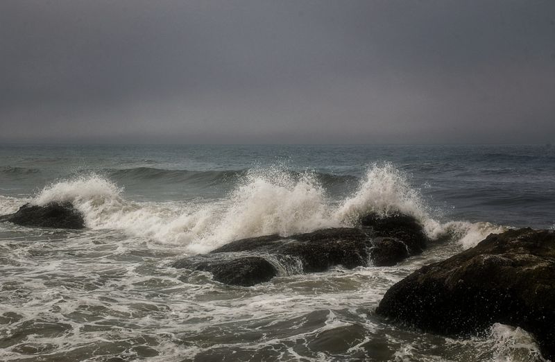 DSC_5503.jpg