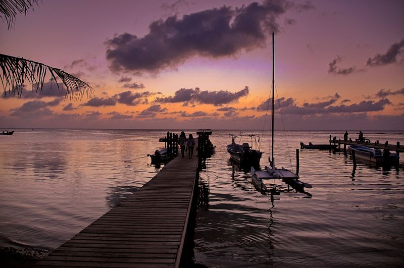 DSC_2352.jpg
