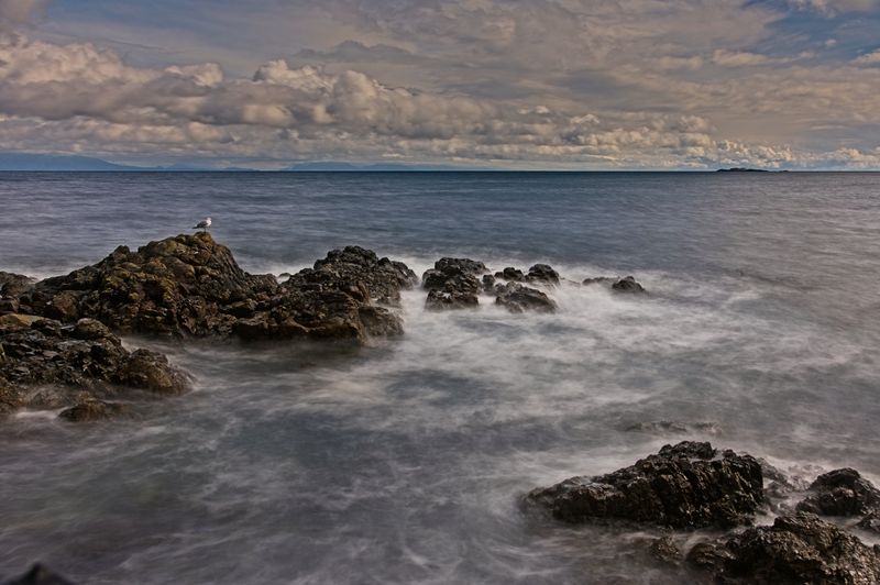 GM7_5192.jpg