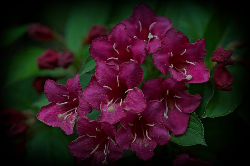 GM7_5753_Focus.jpg