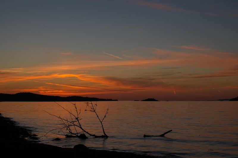 GM7_5531.jpg