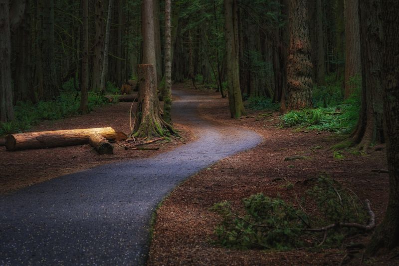Adventures on Vancouver Island