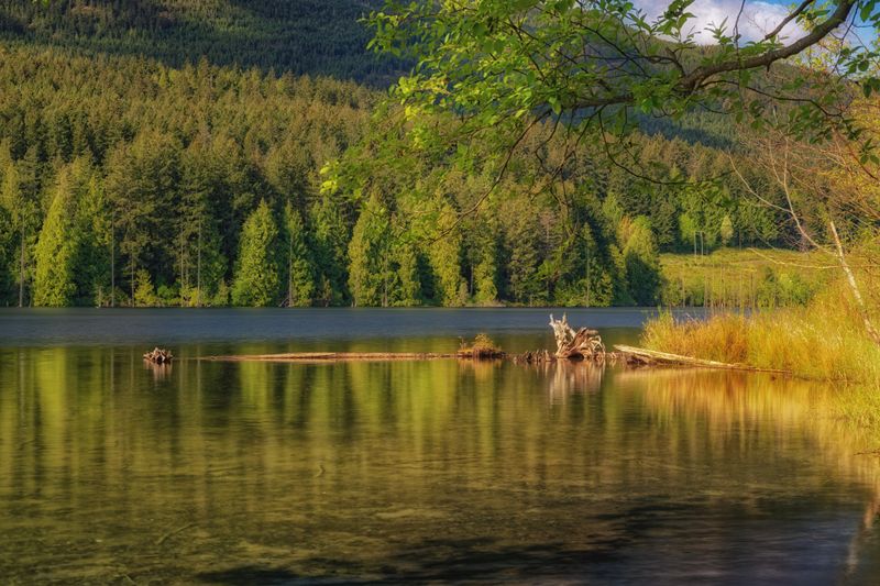 Close to Home on Vancouver Island