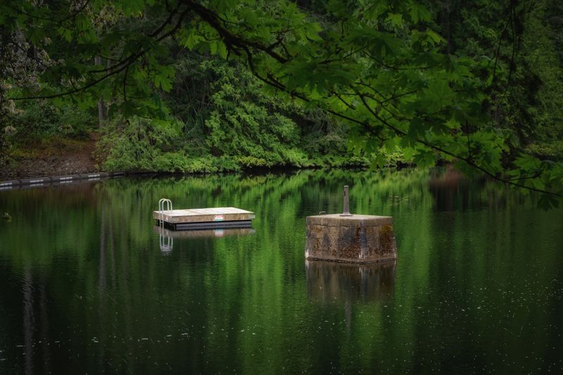 Close to Home on Vancouver Island