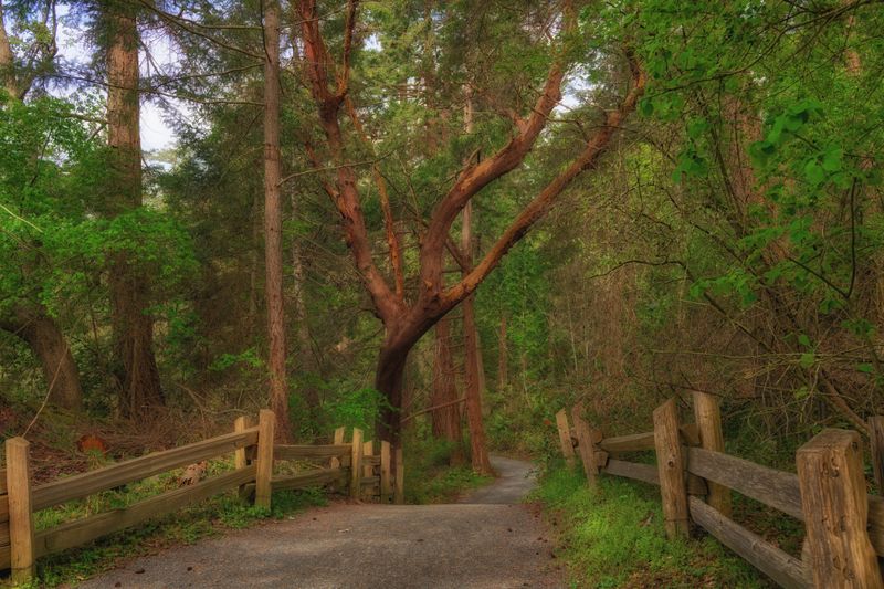 Adventures on Vancouver Island