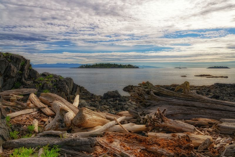 Adventures on Vancouver Island