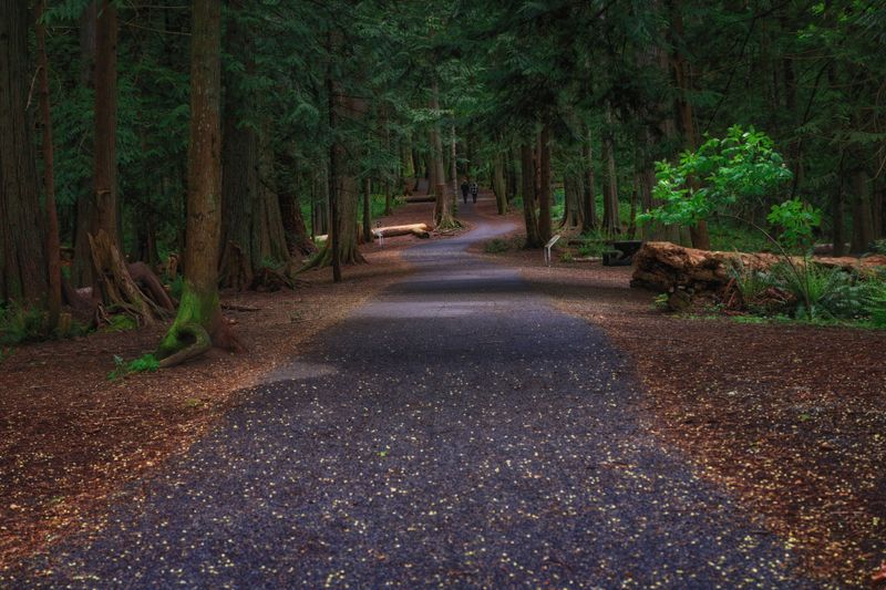 Close to Home on Vancouver Island