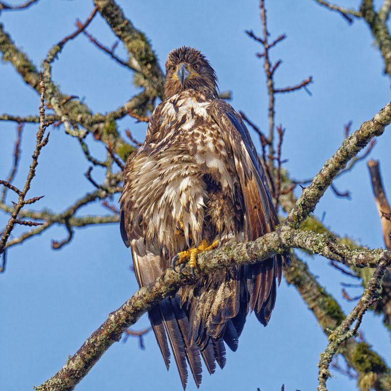 Close to Home on Vancouver Island