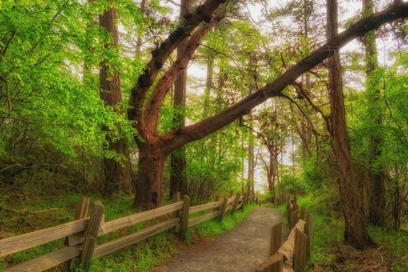 Adventures on Vancouver Island