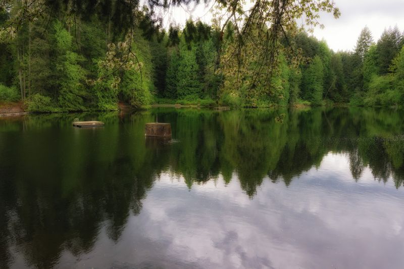 Close to Home on Vancouver Island